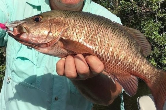 a person holding a fish