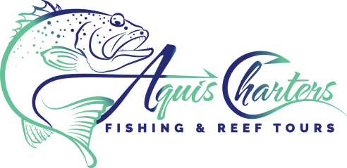 Aquis Reef Charters