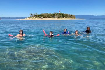 a group of people swimming in a body of water